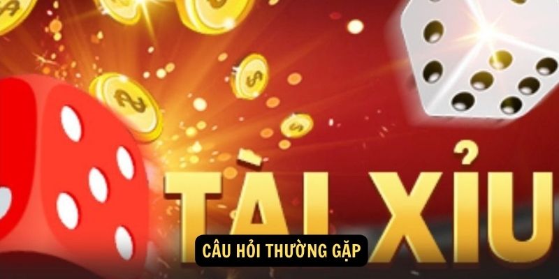 Câu hỏi thường gặp